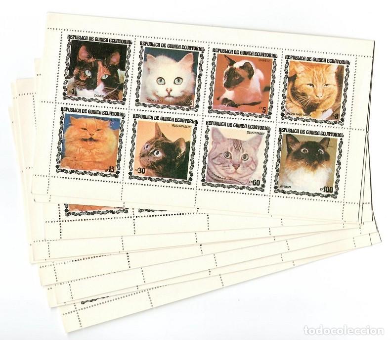 Selos: 57 HB Serie completa / Rep&uacute;blica de Guinea Ecuatorial - Gatos / Lote muy comercial, ideal reventa