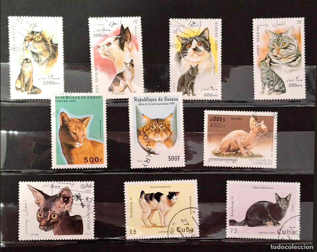 Selos: 10 sellos de Gatos de diversos pa&iacute;ses