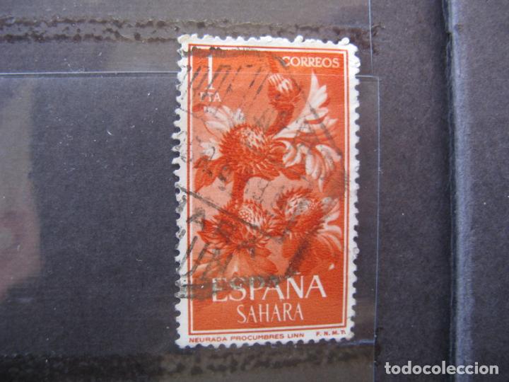 Timbres: +sahara 1962, flora, edifil 204