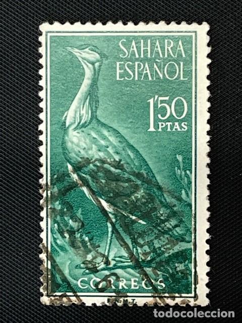 SAHARA, 1961, AVES, EDIFIL 184, USADO (Sellos - España - Colonias Españolas y Dependencias - África - Sahara)