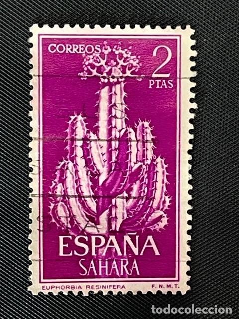 SAHARA, 1962, SERIE BÁSICA, FLORA, EDIFIL 206, USADO (Sellos - España - Colonias Españolas y Dependencias - África - Sahara)