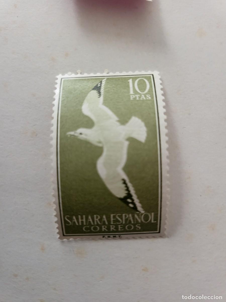 Timbres: Sello Sáhara Español. 1959. 10 pesetas . Edifil ES SH 168. Larus argentarus