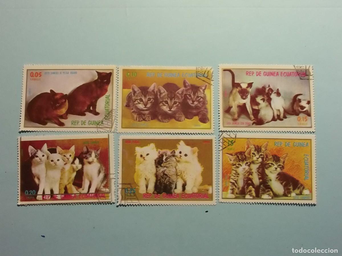 Sellos: GUINEA ECUATORIAL 1976 - GATOS DOMESTICOS - 6 VALORES.