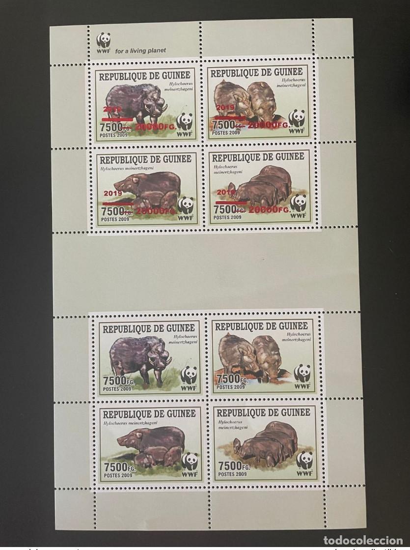 Sellos: Guinea 2009/2019 ERROR DESPLAZADO SOBREIMPRESI&Oacute;N FAUNA Y AVES HYLOCHERA PANDA WWF