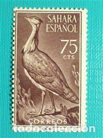 Sellos: SELLO - SAHARA - Aves - EDIFIL 182 - A&ntilde;o 1961 - 75 C&eacute;ntimos - Lila -
