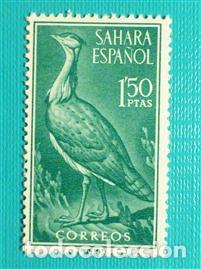 Sellos: SELLO - SAHARA - Aves - EDIFIL 184 - A&ntilde;o 1961 - 1,50 Pesetas - Verde -