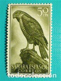 Sellos: SELLO - Espa&ntilde;a - Correos - SAHARA - Aves - EDIFIL 161 - 50 C&eacute;ntimos - A&ntilde;o 1959 - Verde Sepia
