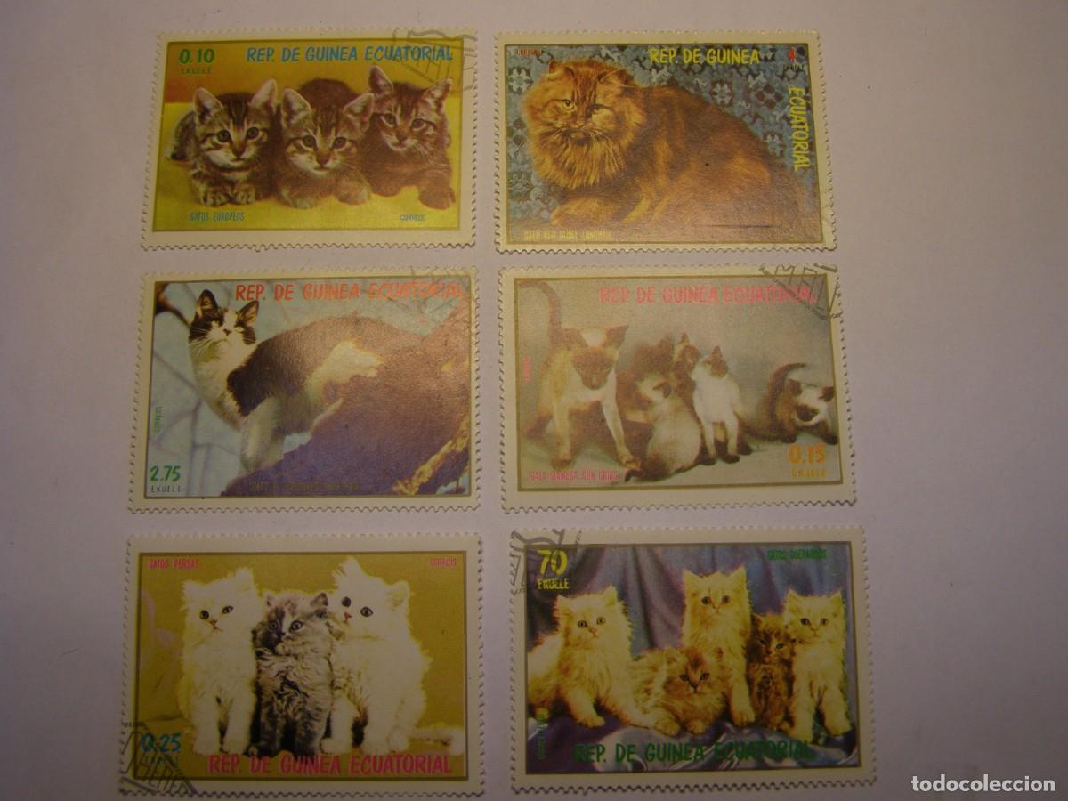 Sellos: Lote 6 sellos Guinea Ecuatorial. Gatos.