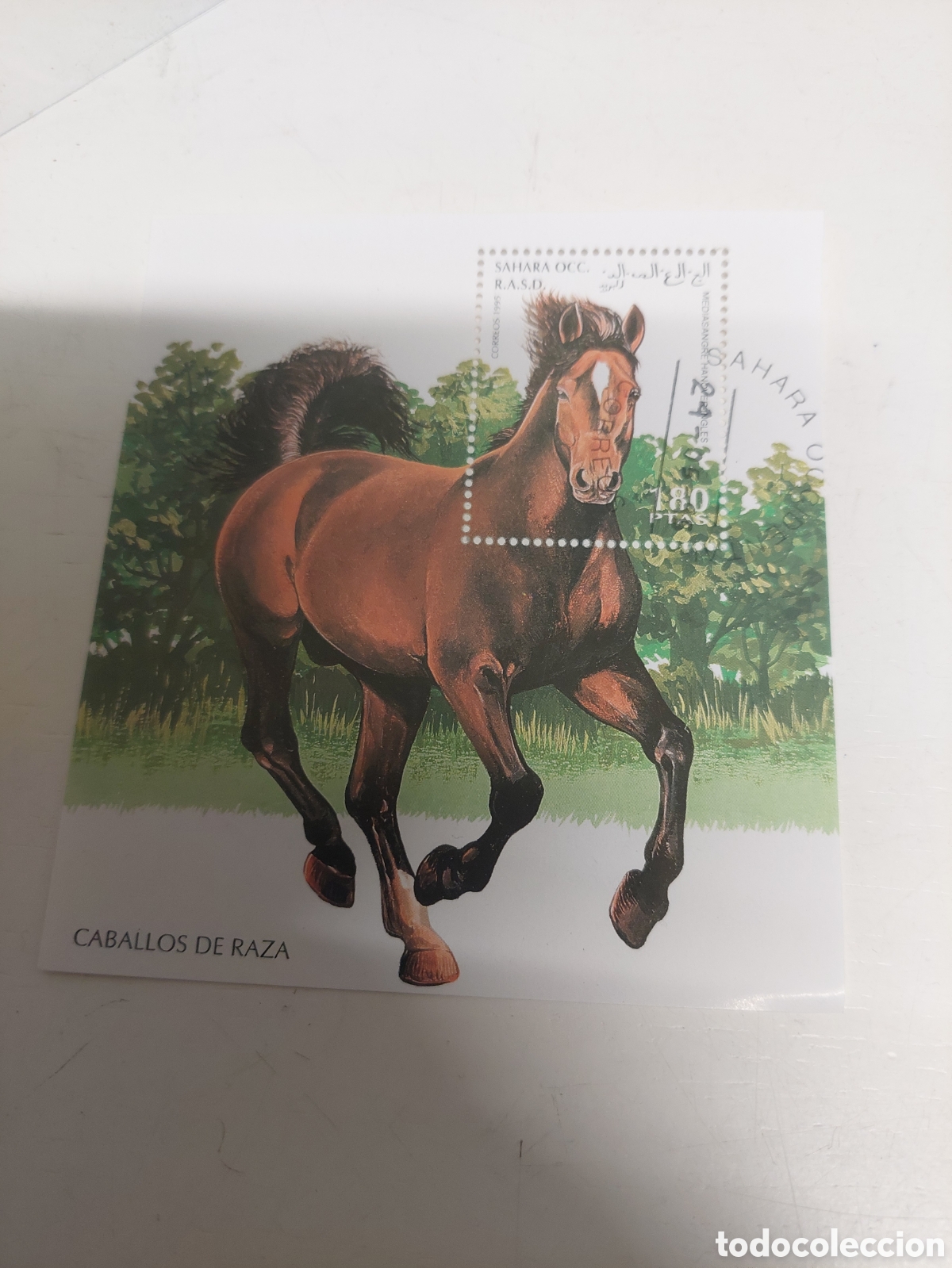Sellos: S&Aacute;HARA OCCIDENTAL GAUNA CABALLO HOJA BLOQUE 1995