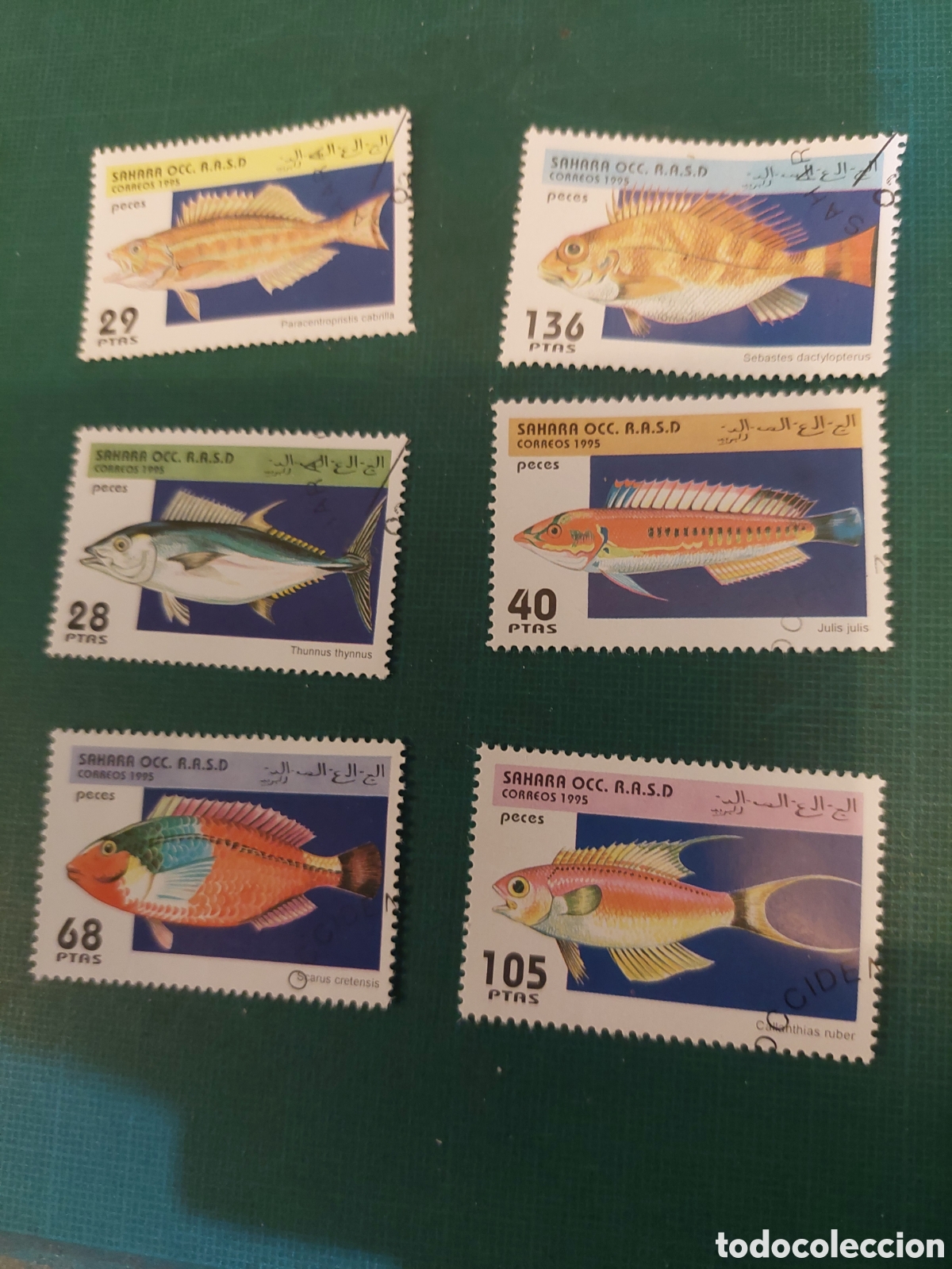 Sellos: 1995 S&Aacute;HARA OCCIDENTAL FAUNA PECES NATURALEZA SERIE COMPLETA