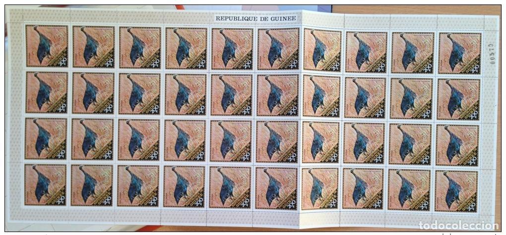 Sellos: Guinea TV. Hoja de correo a&eacute;reo PA 99 Bird Acryllium Vulturinum RARE**MNH