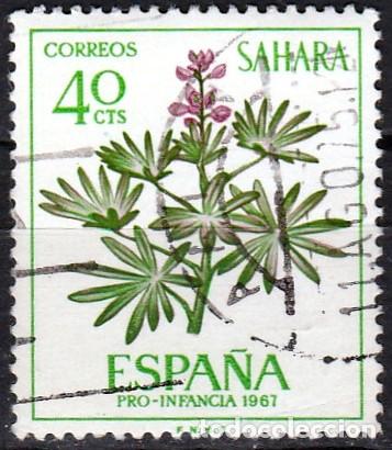 Sellos: 1967 - SAHARA - PRO INFANCIA - FLORA - LUPINUS - EDIFIL 257
