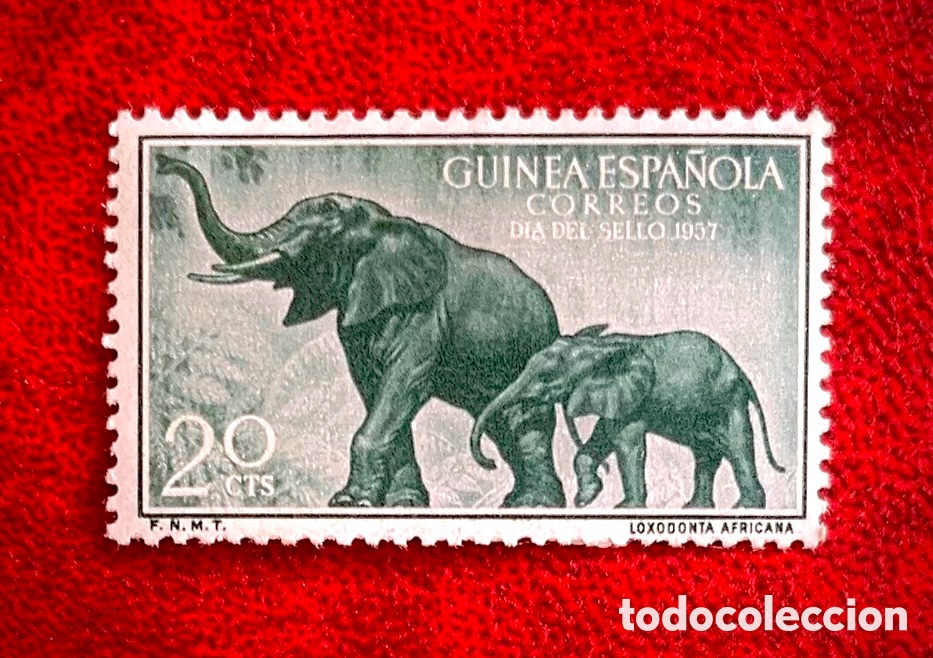 Sellos: Bonito sello Guinea Espa&ntilde;ola 1957 Elefantes de Bosque