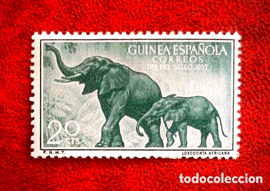 Sellos: Bonito sello Guinea Espa&ntilde;ola 1957 Elefantes de Bosque