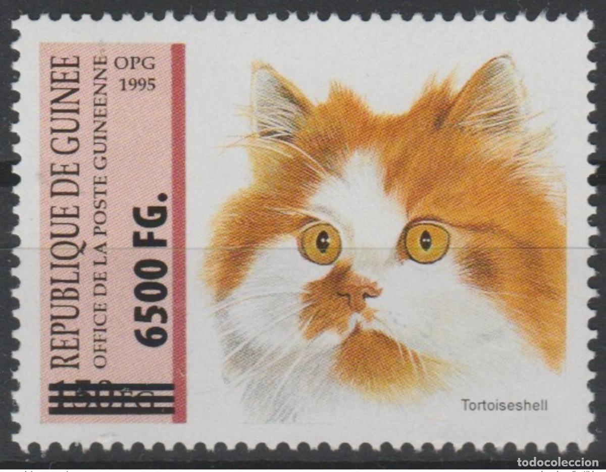 Sellos: Guinea 2009 Mi. 6753 sobrecargado Sobreimpresi&oacute;n Cat Katze Animal Fauna
