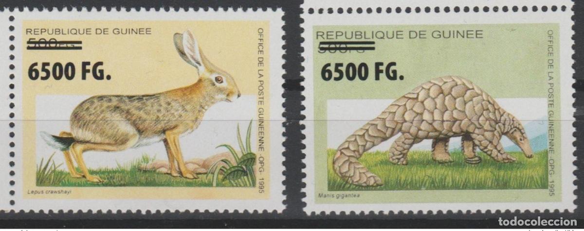 Sellos: Guinea 2009 Mi. 6754/5 fauna sobrecargada Lapin Rabbit Hase Pangol&iacute;n