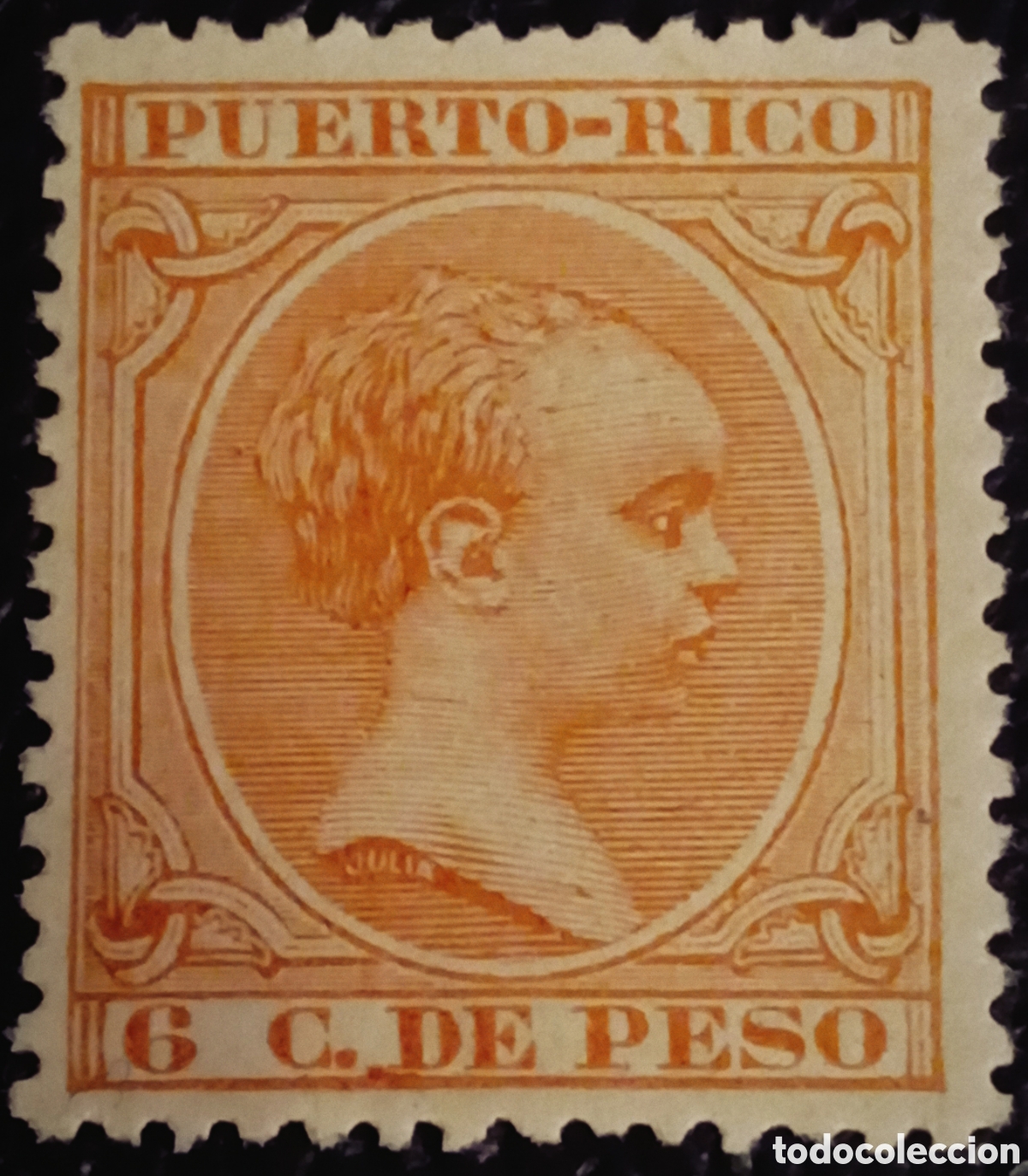Sellos: Puerto Rico 1894 - Alfonso XIII &rdquo;Pel&oacute;n&rdquo; - 6 C. de Peso - Edifil 114 - MNH