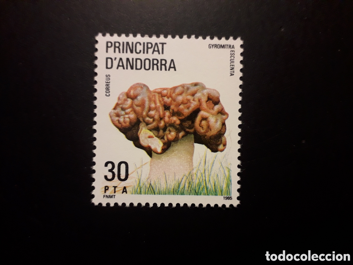 Sellos: ANDORRA ESPA&Ntilde;OLA EDIFIL 187 SERIE CTA NUEVA *** 1985 FLORA SETAS PEDIDO M&Iacute;NIMO 3&euro;