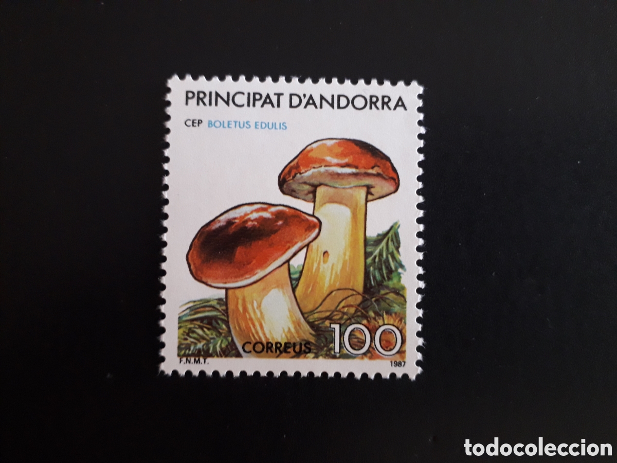 Sellos: ANDORRA ESPA&Ntilde;OLA EDIFIL 201 SERIE CTA NUEVA *** 1987 FLORA, SETAS PEDIDO M&Iacute;NIMO 3&euro;