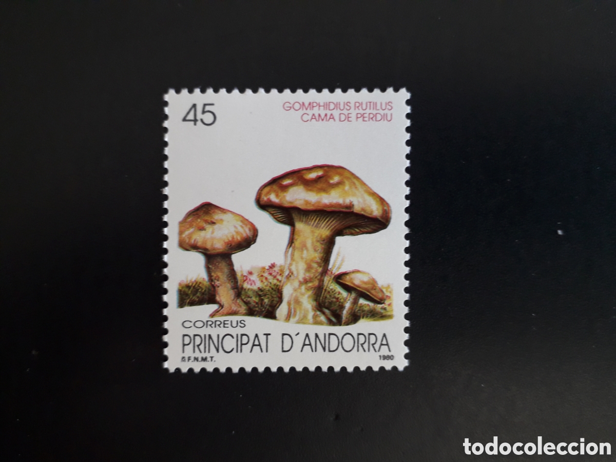Sellos: ANDORRA ESPA&Ntilde;OLA EDIFIL 220 SERIE CTA NUEVA *** 1990 FLORA, SETAS PEDIDO M&Iacute;NIMO 3&euro;