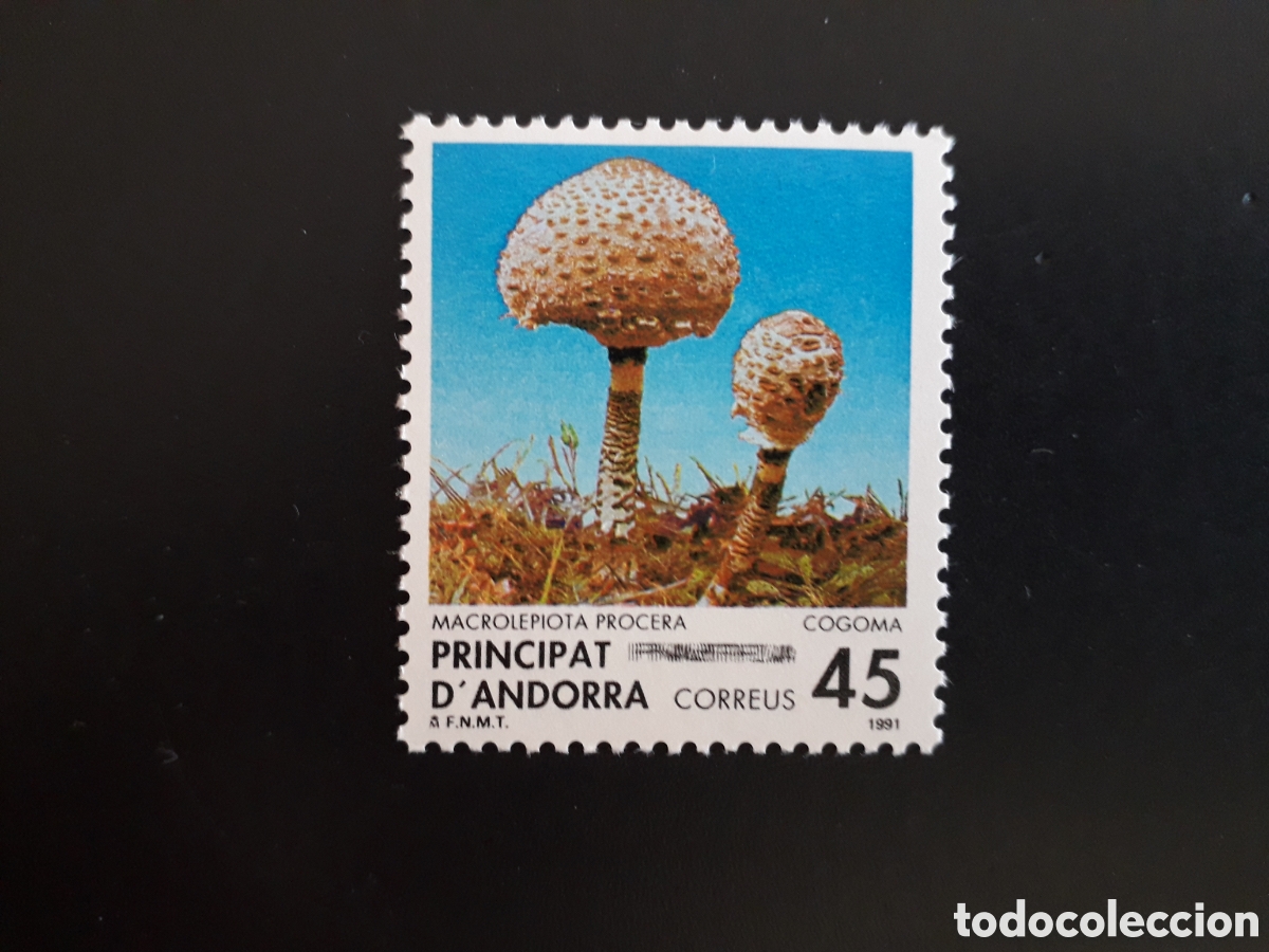 Sellos: ANDORRA ESPA&Ntilde;OLA EDIFIL 227 SERIE CTA NUEVA *** 1991 FLORA SETAS PEDIDO M&Iacute;NIMO 3&euro;