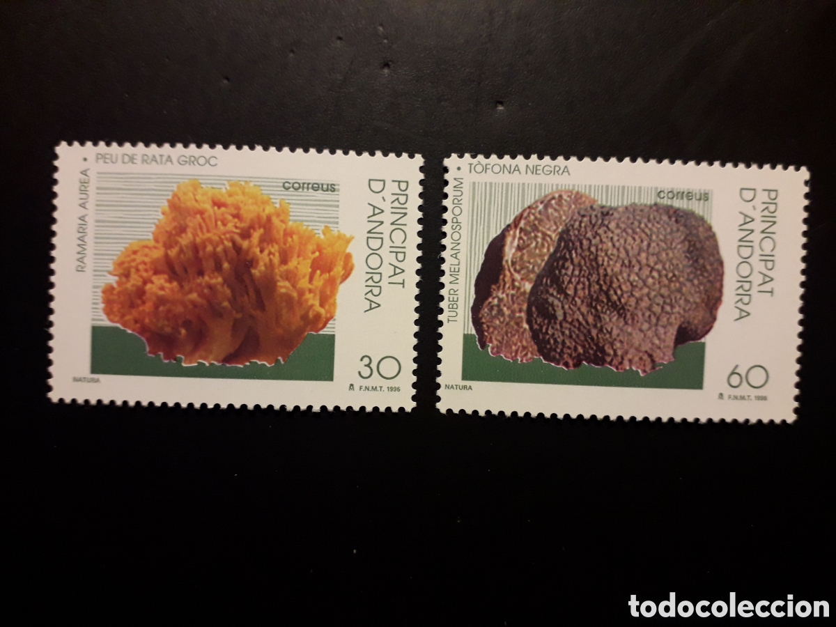 Sellos: ANDORRA ESPA&Ntilde;OLA EDIFIL 251/2 SERIE CTA NUEVA *** 1996 FLORA, SETAS PEDIDO M&Iacute;NIMO 3&euro;