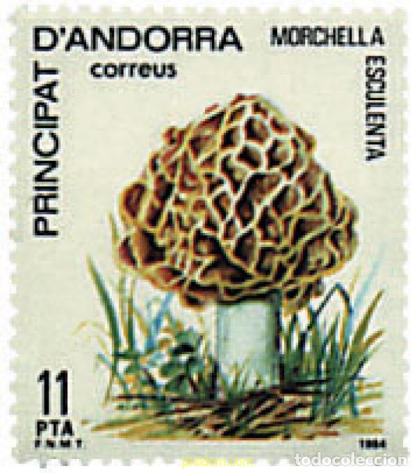 Sellos: 36251 MNH ANDORRA. Adm&oacute;n espa&ntilde;ola 1984 SETAS