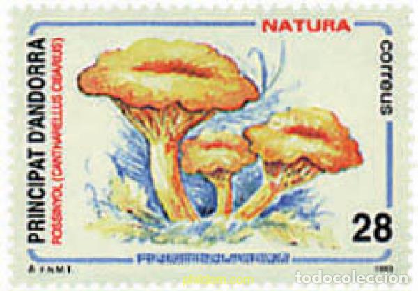 Sellos: 36248 MNH ANDORRA. Adm&oacute;n espa&ntilde;ola 1993 SETAS