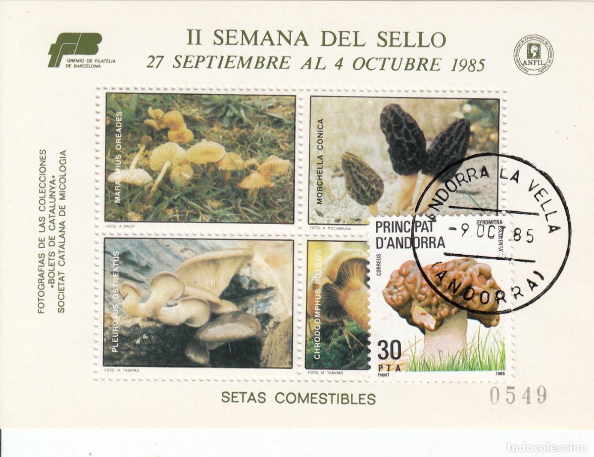 Sellos: MICOLOG&Iacute;A - SETAS - VI&Ntilde;ETAS SEMANA DEL SELLO - BARCELONA CON SELLO Y MARASELLOS DE ANDORRA - 1985
