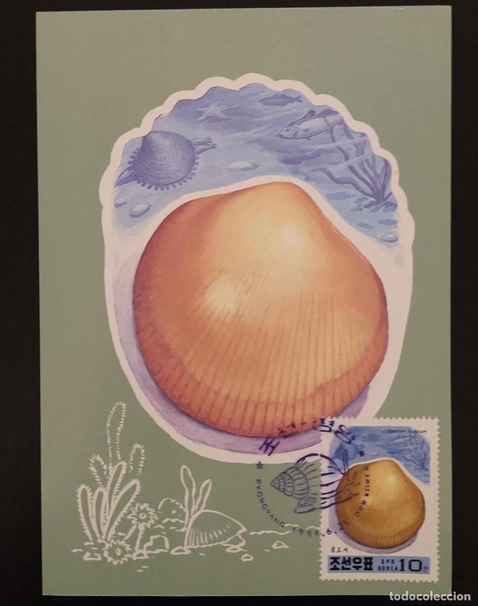 Sellos: SD)1994, COREA, TARJETA POSTAL, ALMEJA DE POLLO - Foto 1