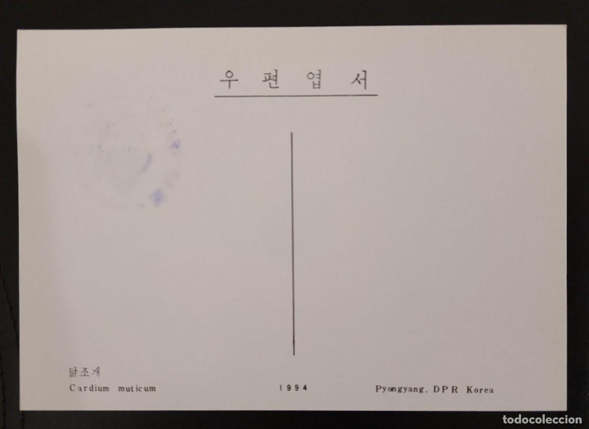 Sellos: SD)1994, COREA, TARJETA POSTAL, ALMEJA DE POLLO - Foto 2
