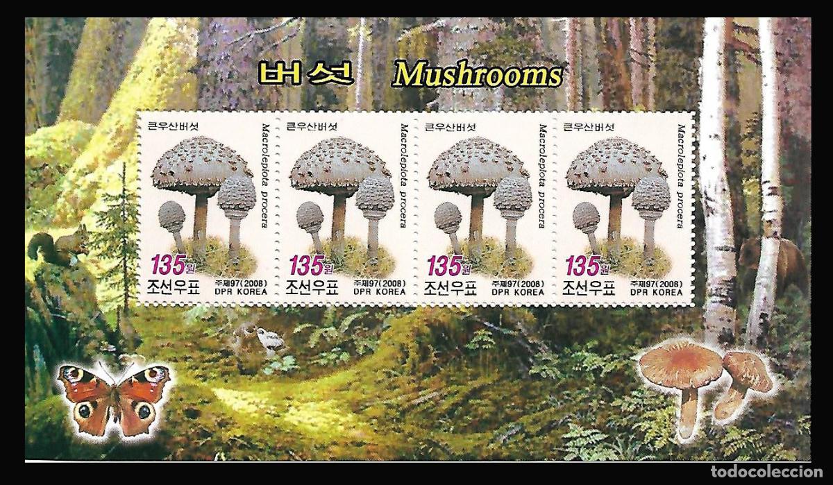 Sellos: RPDC 2008 Hongos MNH - Foto 1