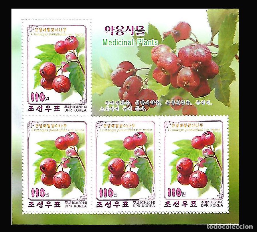 Sellos: RPDC 2014 Plantas medicinales MNH - Foto 1