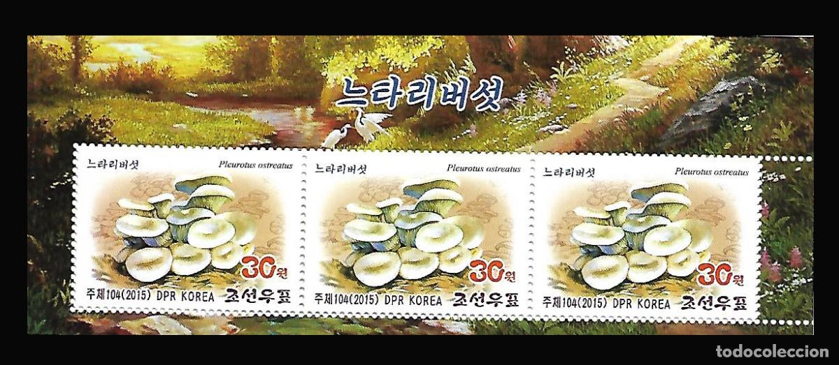 Sellos: RPDC 2015 Hongos MNH - Foto 1