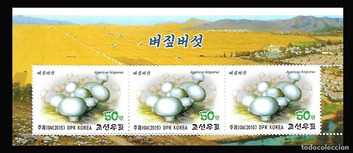 Sellos: RPDC 2015 Hongos MNH - Foto 1