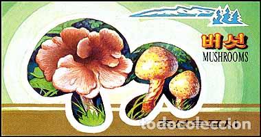 Sellos: RPDC 2002 Hongos MNH - Foto 1