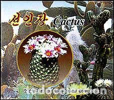 Sellos: RPDC 2004 Cactus MNH - Foto 1