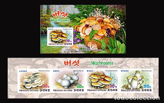 Sellos: RPDC 2015 Hongos MNH - Foto 1