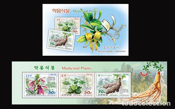 Sellos: RPDC 2016 Plantas medicinales MNH - Foto 1