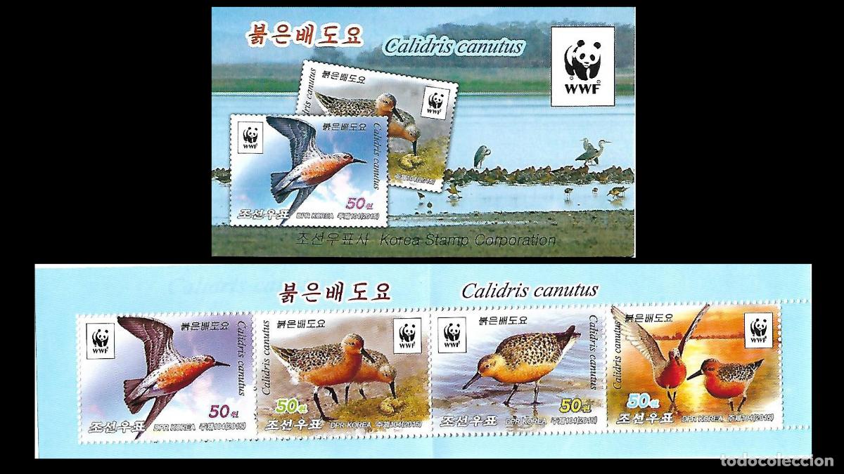 Sellos: RPDC 2015 Aves - Calidris canutus MNH - Foto 1
