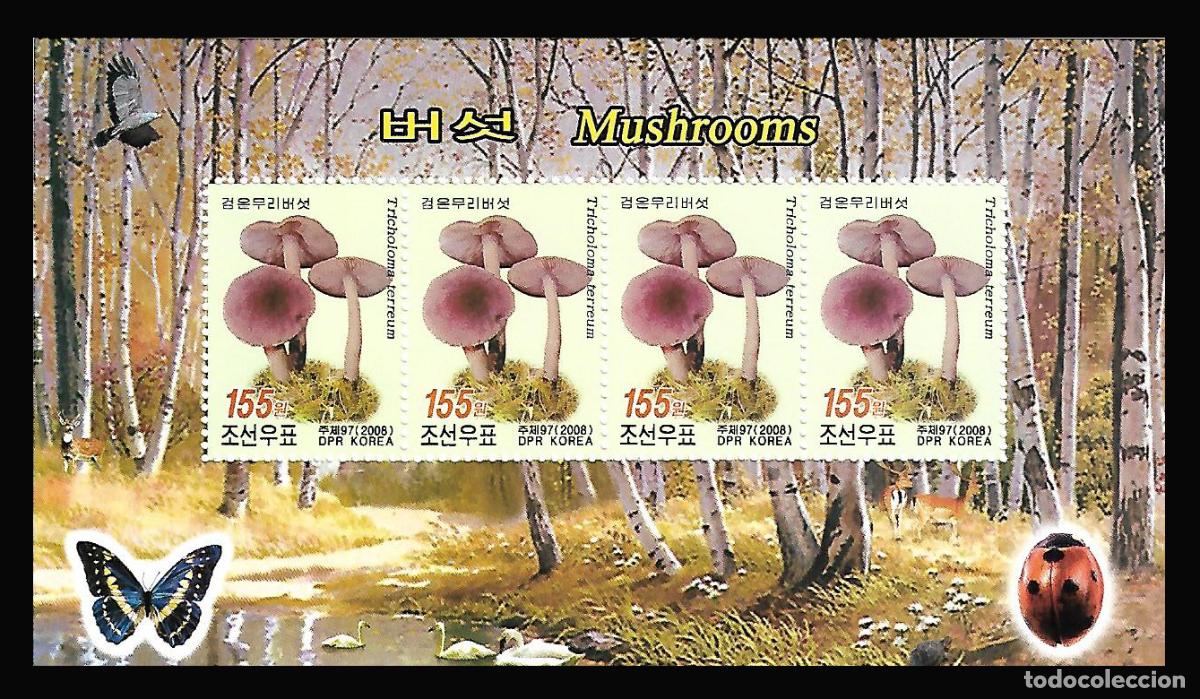 Sellos: RPDC 2008 Hongos MNH - Foto 1