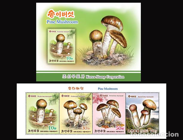Sellos: RPDC 2017 Seta de pino MNH - Foto 1