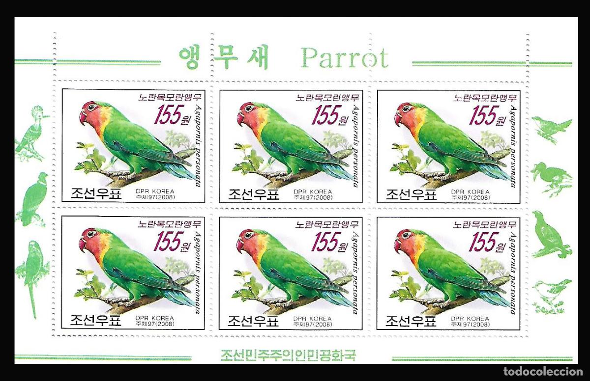 Sellos: RPDC 2008 Loro MNH - Foto 1