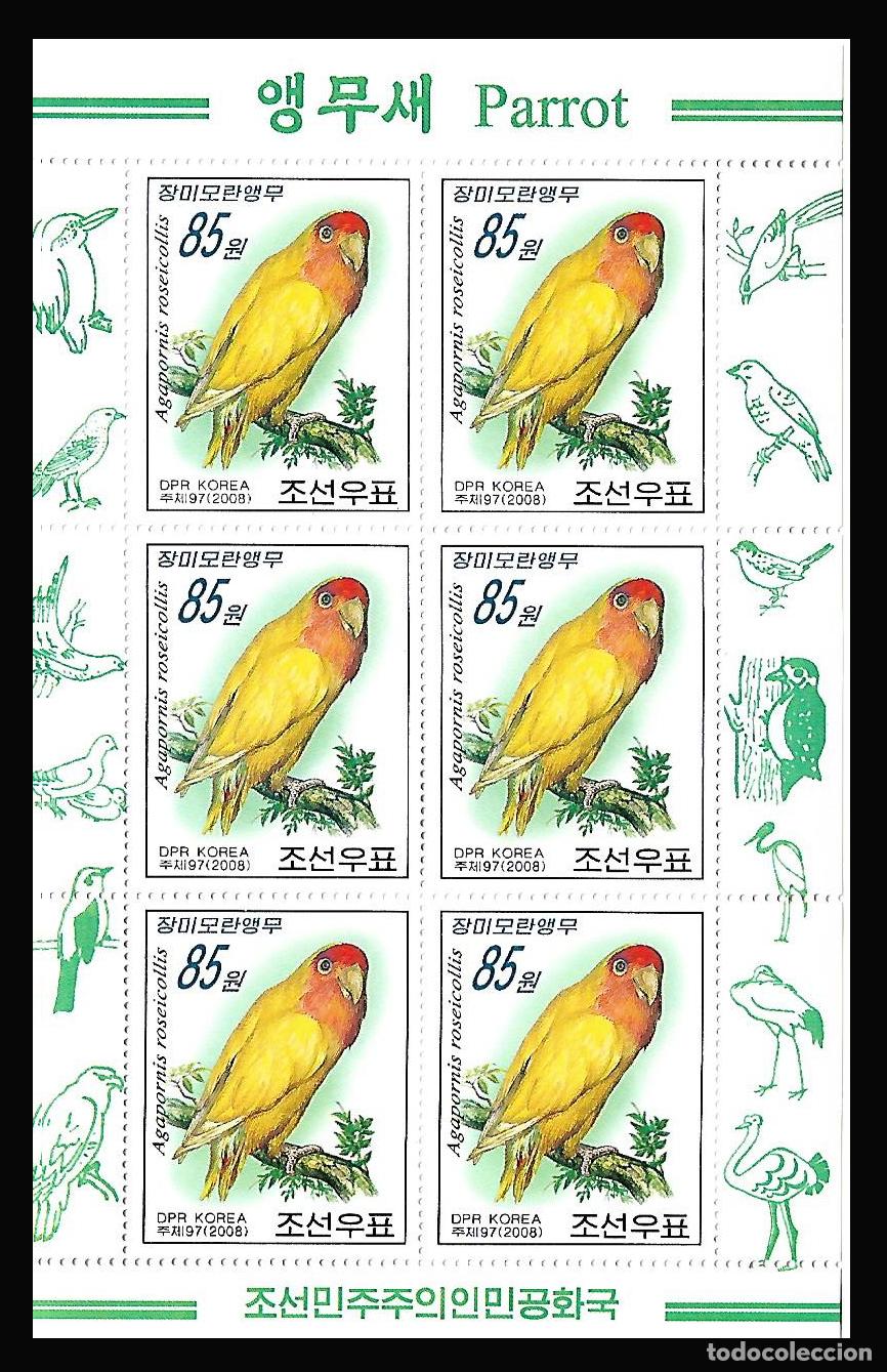 Sellos: RPDC 2008 Loro MNH - Foto 1