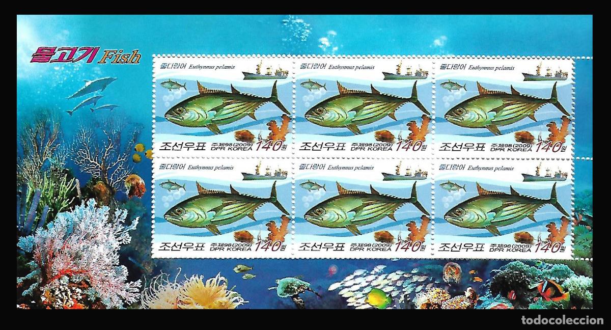 Sellos: RPDC 2009 Pez MNH - Foto 1