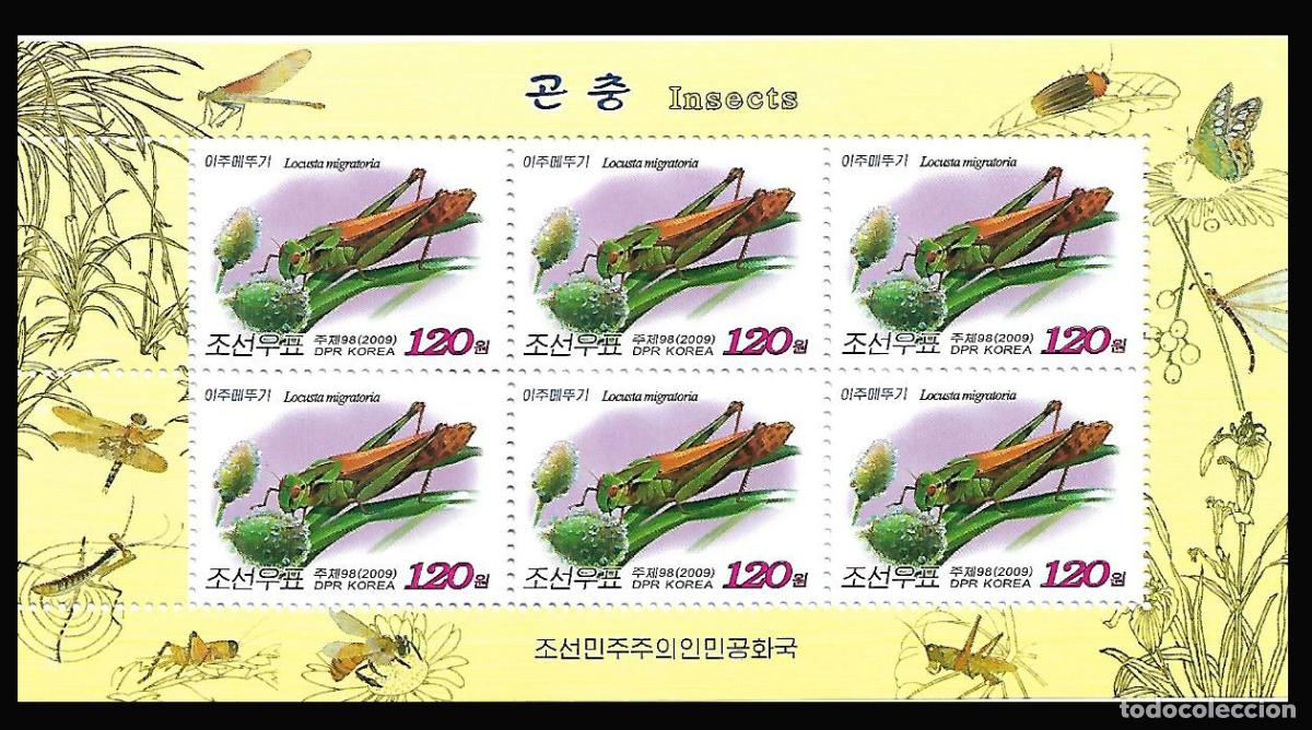 Sellos: RPDC 2009 insectos MNH - Foto 1