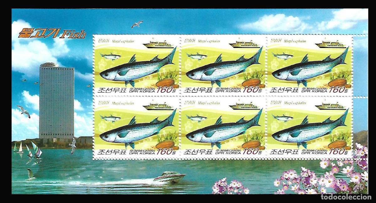 Sellos: RPDC 2009 Pez MNH - Foto 1