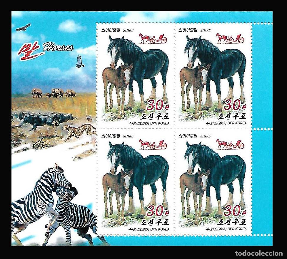 Sellos: RPDC 2013 Caballos MNH - Foto 1