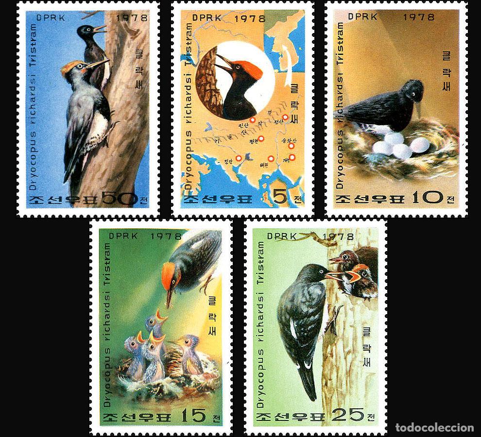 Sellos: RPDC 1978 p&aacute;jaros carpinteros Aves MNH - Foto 1