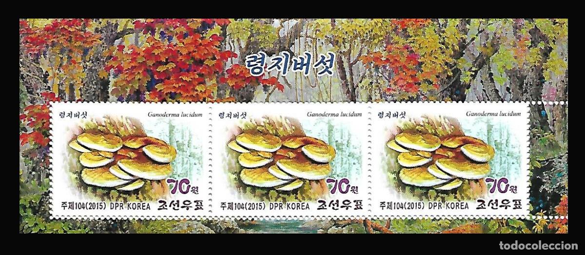 Sellos: RPDC 2015 Hongos MNH - Foto 1